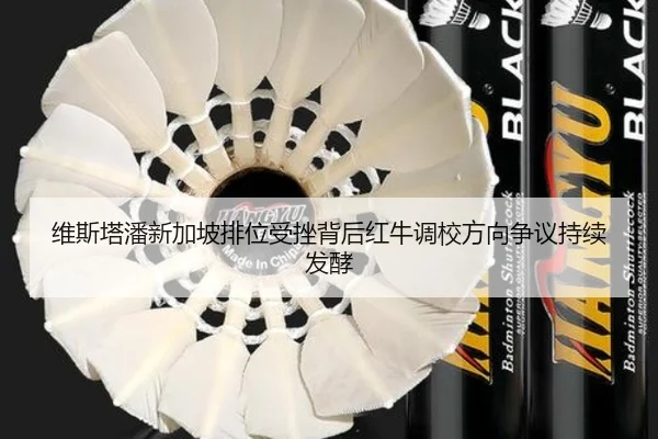 维斯塔潘新加坡排位受挫背后红牛调校方向争议持续发酵